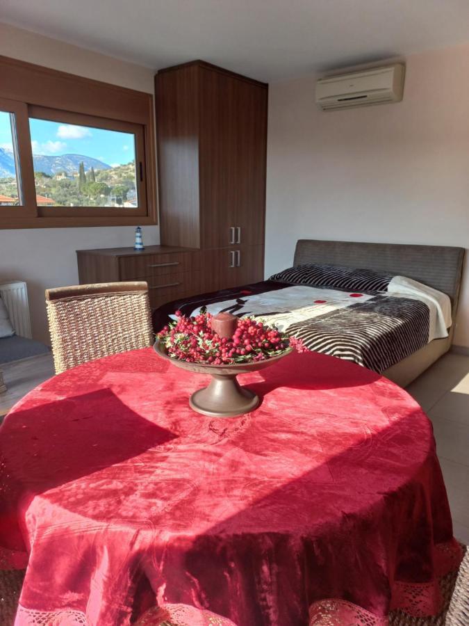 Apartment Calmness Near The