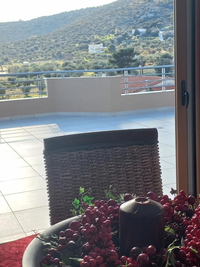 Apartment Calmness Near The